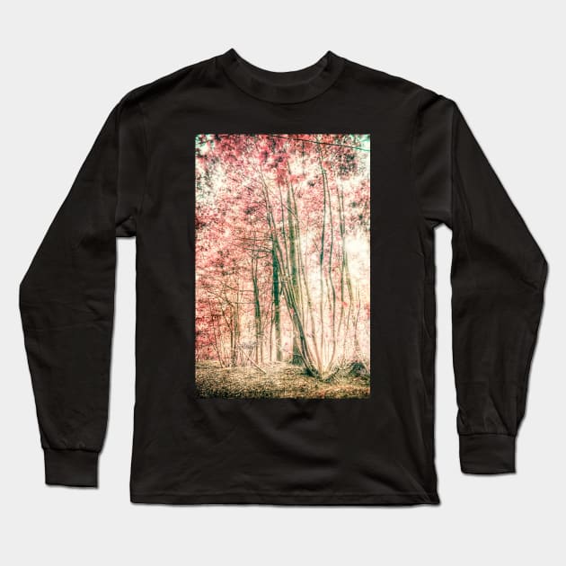 Through the red woods Long Sleeve T-Shirt by InspiraImage